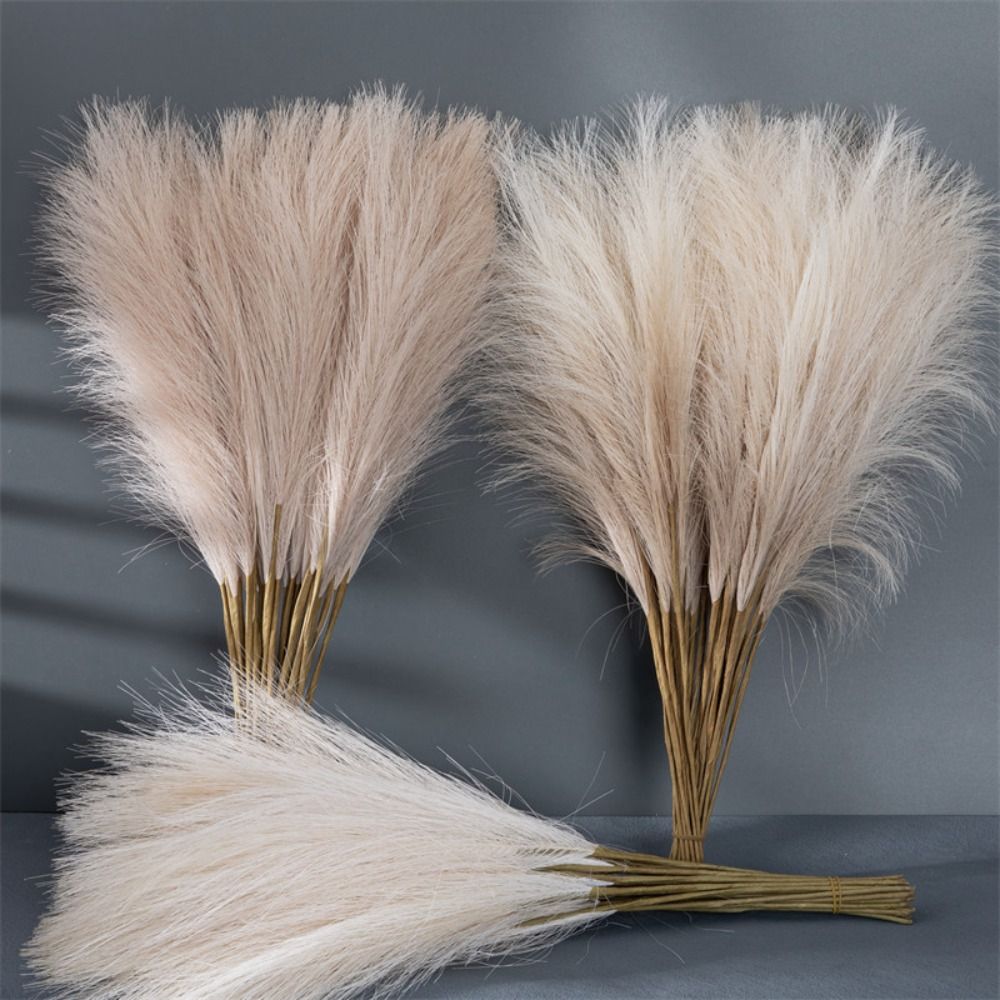 Pampas Grass Decor - 10PCS/Set Dekorasi Rumah Rumput Pampas Berbulu
