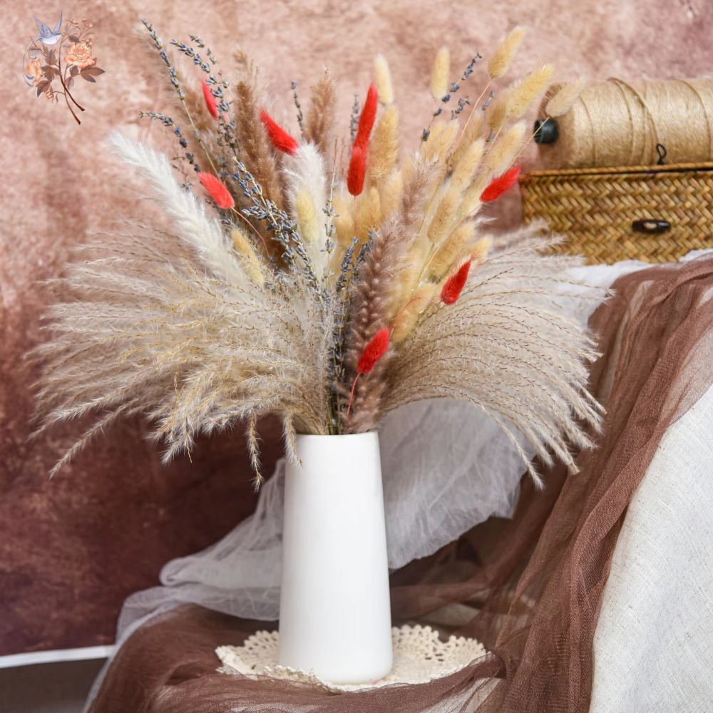 Buket Bunga Kering Alami Pampa - Pampas Grass Decor ulasan dan harga